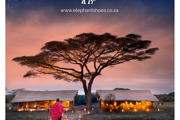 Honeymoon Tanzania  - 10