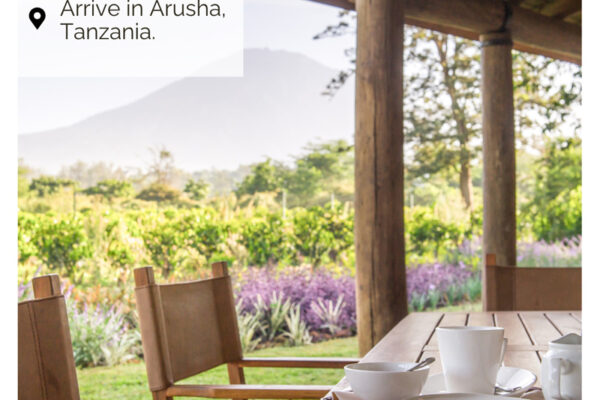 Honeymoon Tanzania  - 2