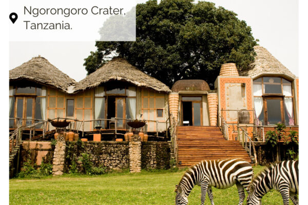 Honeymoon Tanzania  - 6