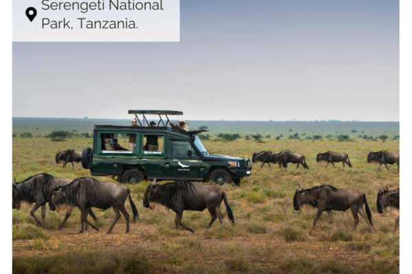 Honeymoon Tanzania  - 7