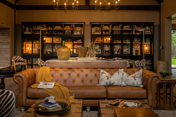 Thornybush-Game-Lodge-Library-31